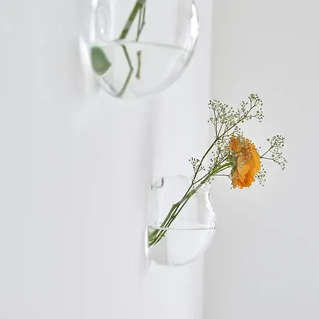 View Bed and breakfast